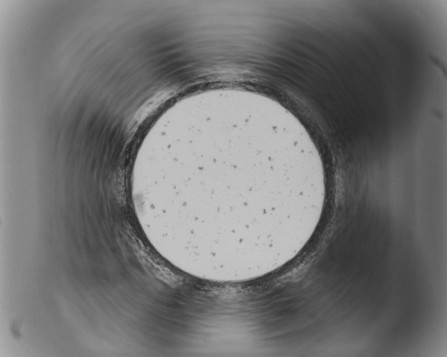 X0000103460970200810240945