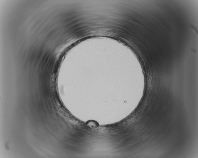 X0000103460971200810240945