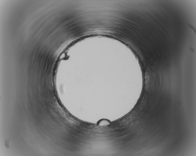 X0000103460972200810240945