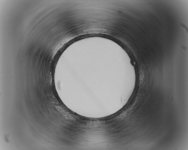 X0000103460973200810240945