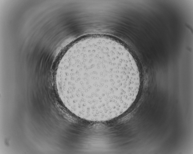 X0000103460974200810240945