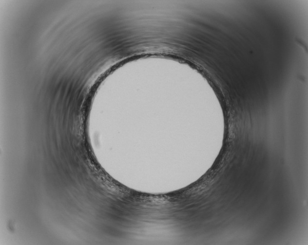 X0000103460975200810240945