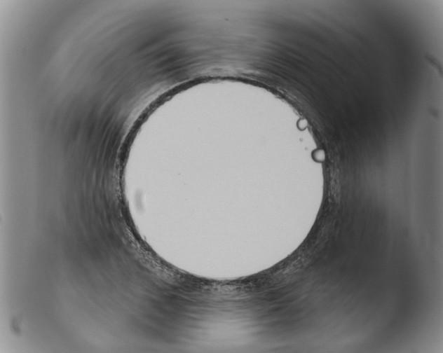 X0000103460976200810240945