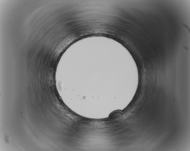 X0000103460977200810240945