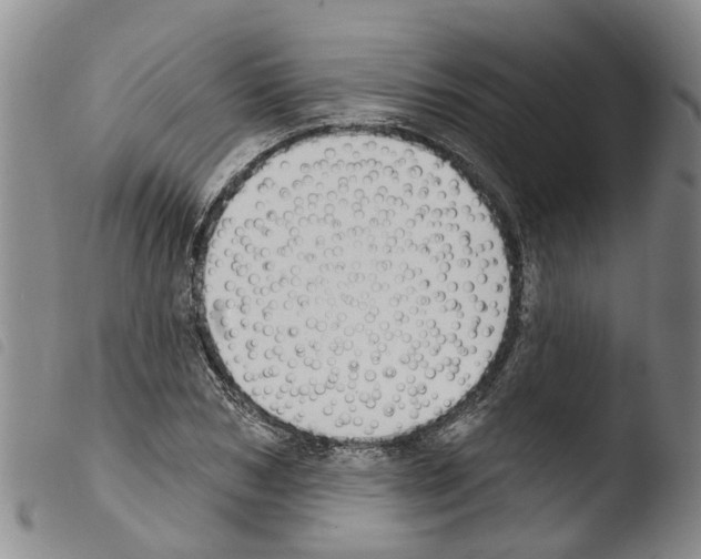 X0000103460978200810240945