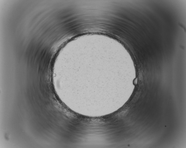 X0000103460979200810240945