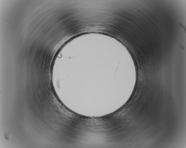X0000103460980200810240945