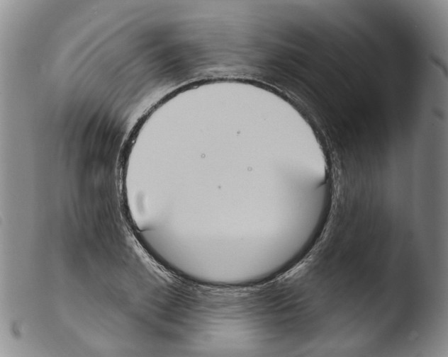 X0000103460981200810240945