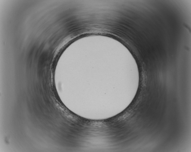 X0000103460982200810240945