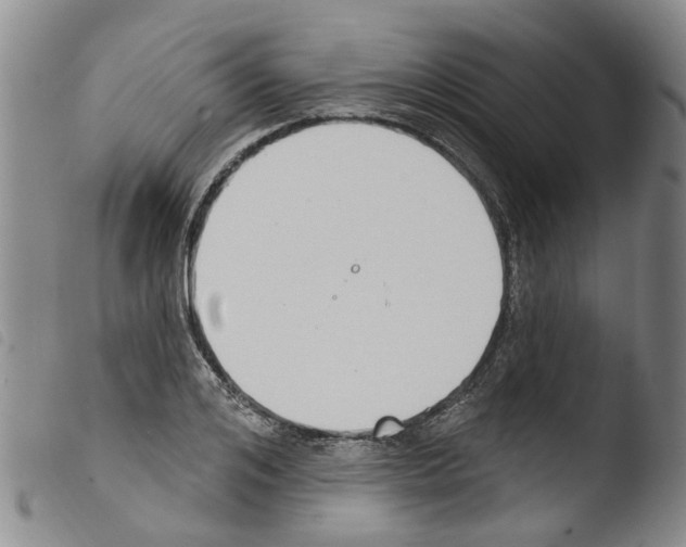 X0000103460984200810240945