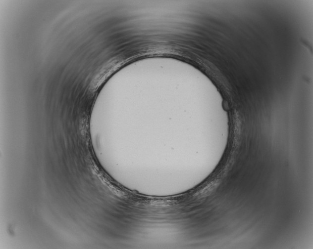X0000103460985200810240945