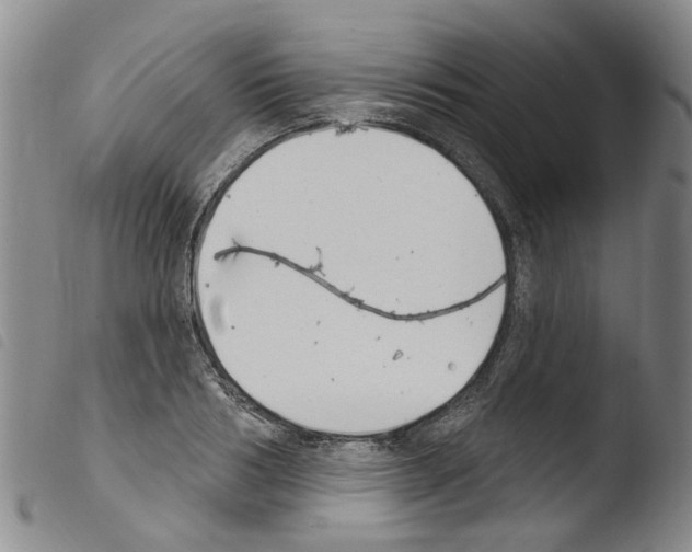 X0000103460986200810240945