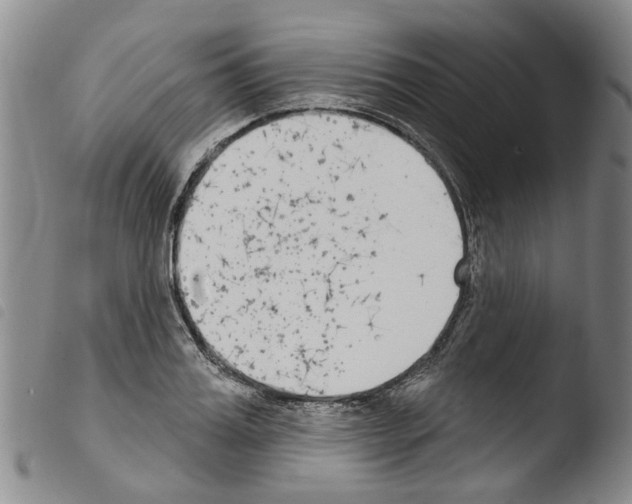 X0000103460987200810240945
