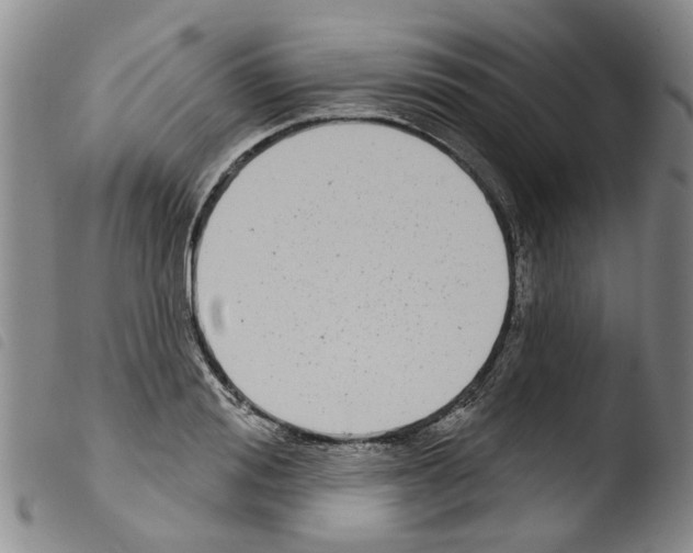 X0000103460988200810240945