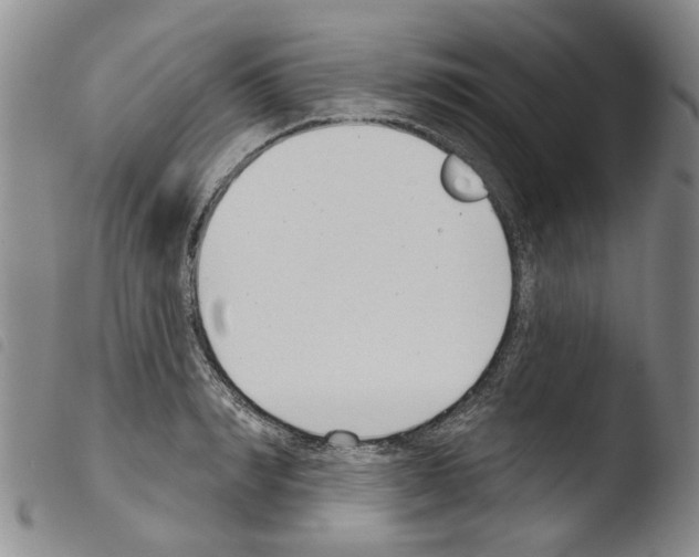X0000103460990200810240945