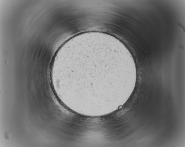 X0000103460991200810240945