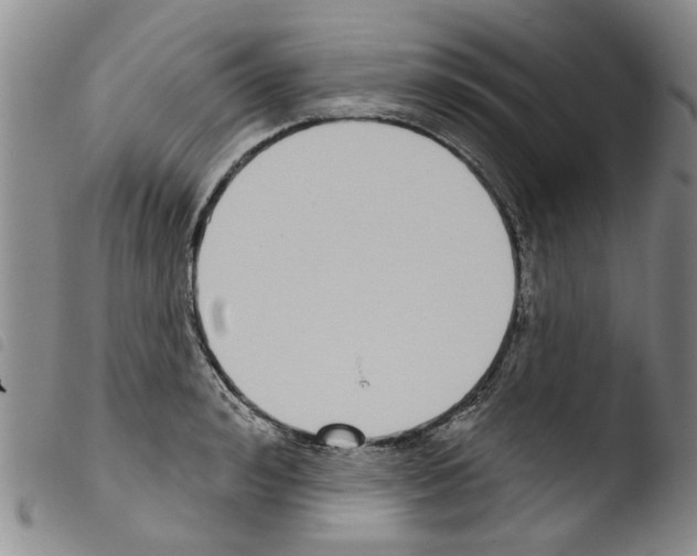 X0000103460992200810240945