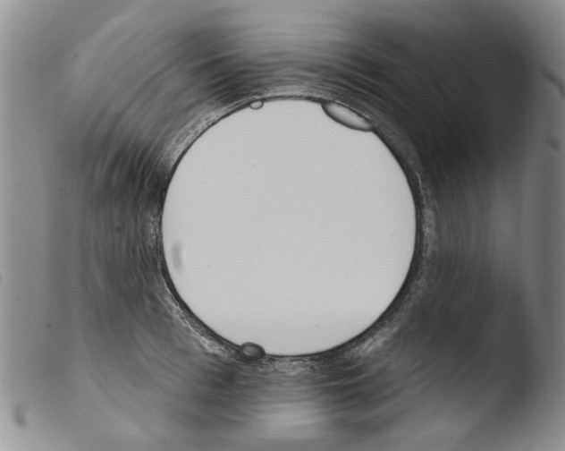 X0000103460993200810240945