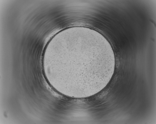 X0000103460995200810240945
