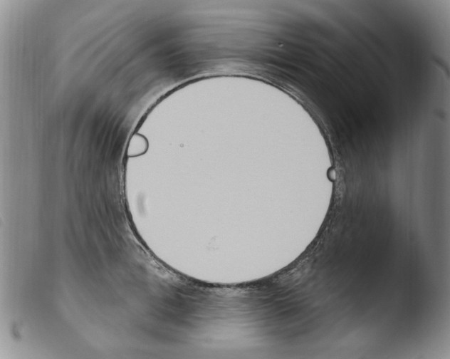 X0000103460996200810240945