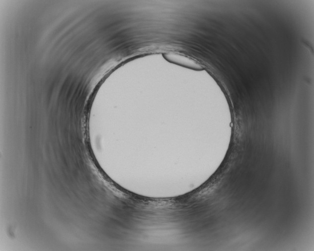 X0000103460997200810240945