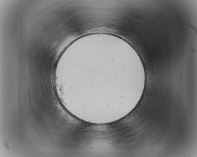 X0000103460998200810240945