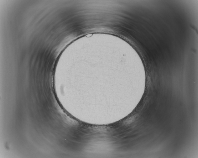 X0000103460999200810240945