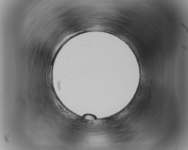 X0000103461000200810240945