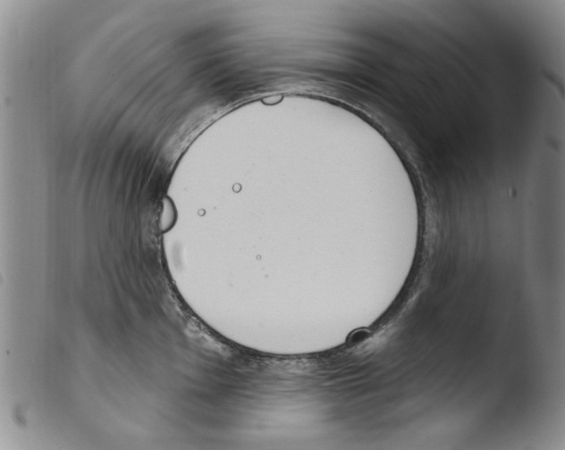 X0000103461001200810240945