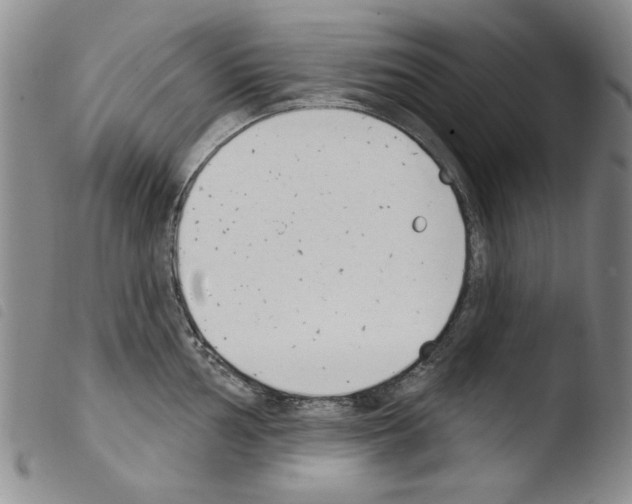 X0000103461002200810240945