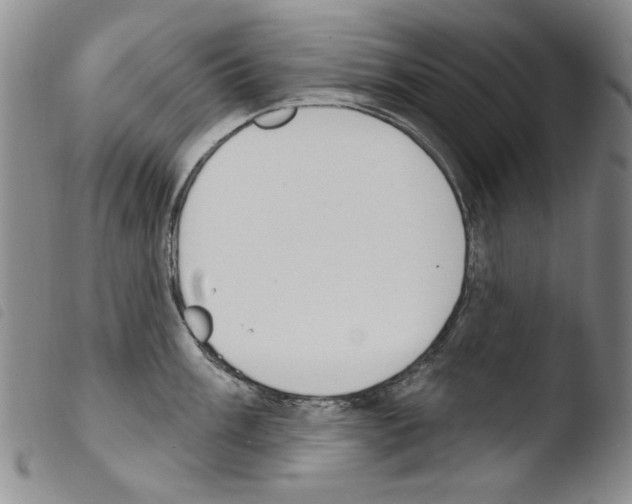 X0000103461003200810240945