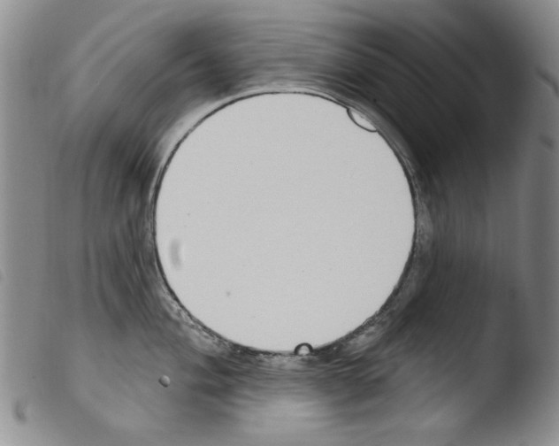 X0000103461004200810240945