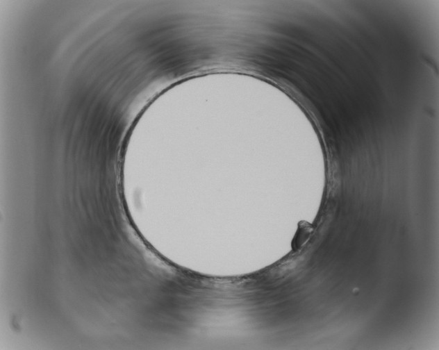X0000103461005200810240945