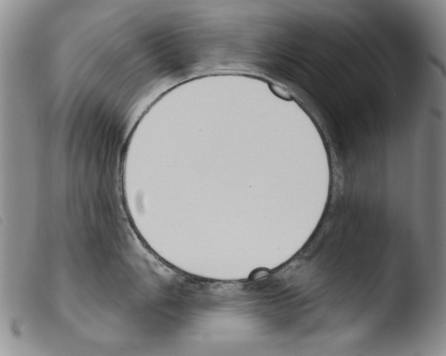 X0000103461006200810240945