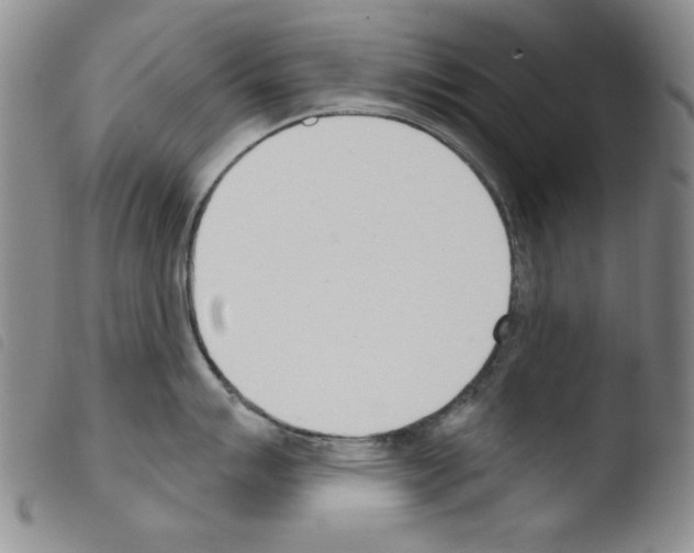 X0000103461007200810240945