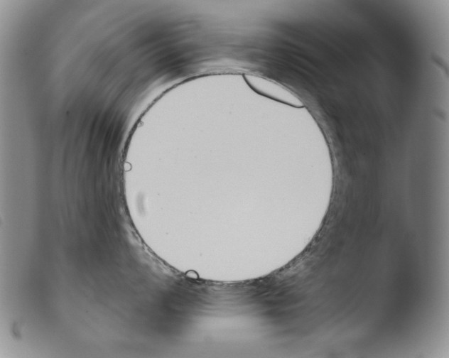 X0000103461008200810240945