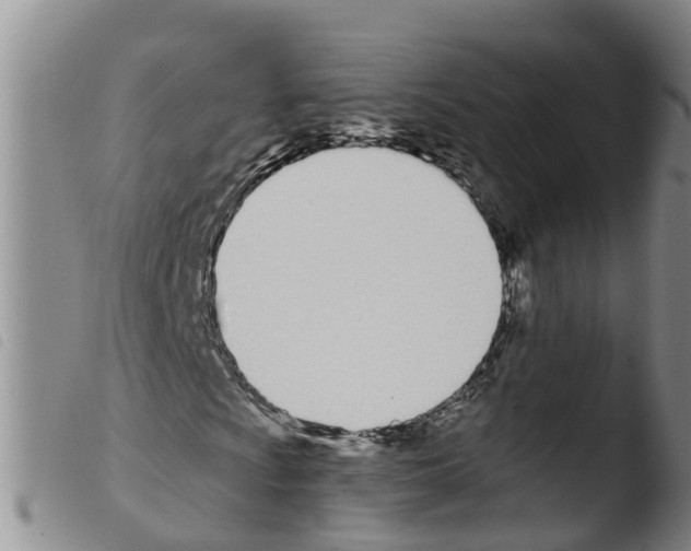 X0000103461009200810240944