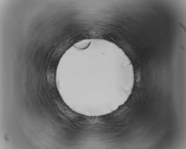 X0000103461011200810240944