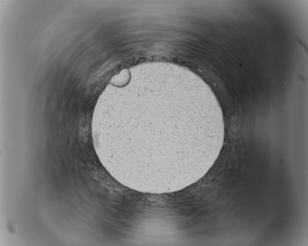 X0000103461015200810240944