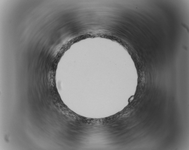 X0000103461016200810240944
