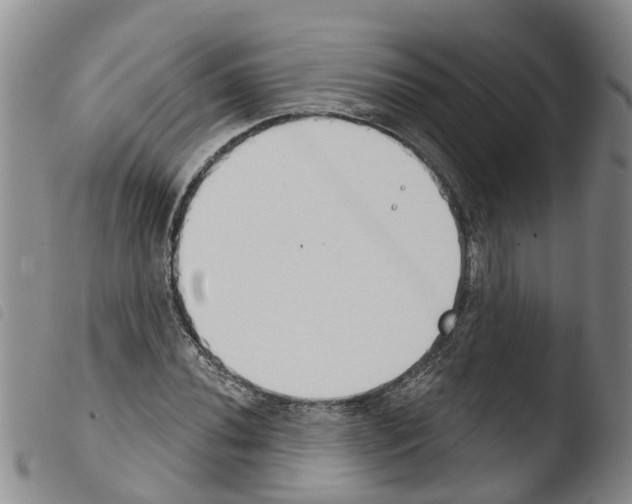 X0000103461020200810240944