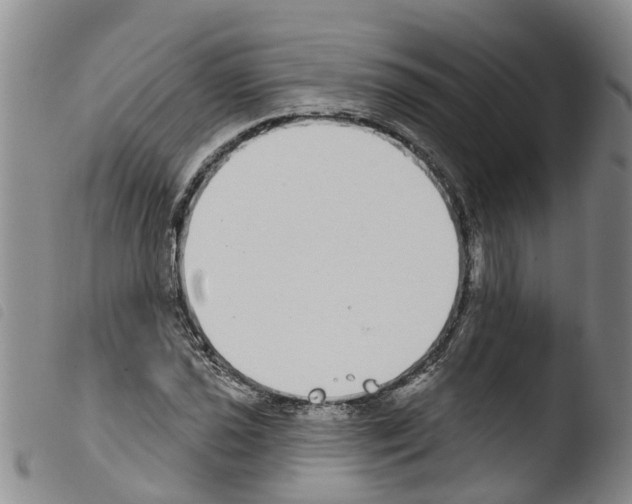 X0000103461021200810240944