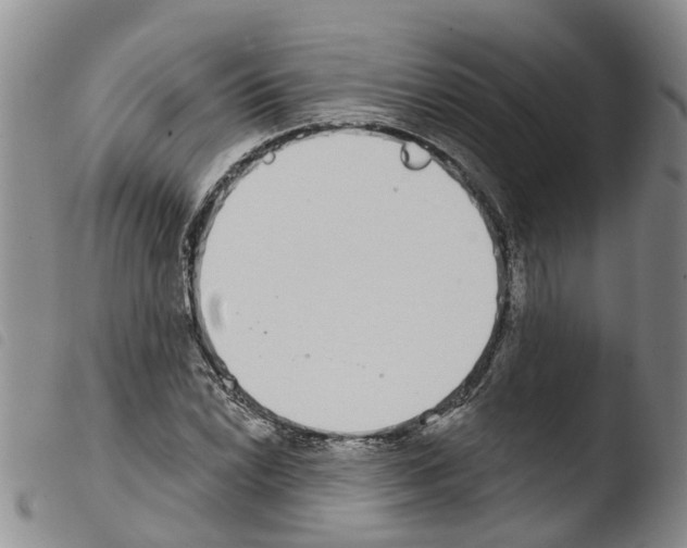 X0000103461022200810240944