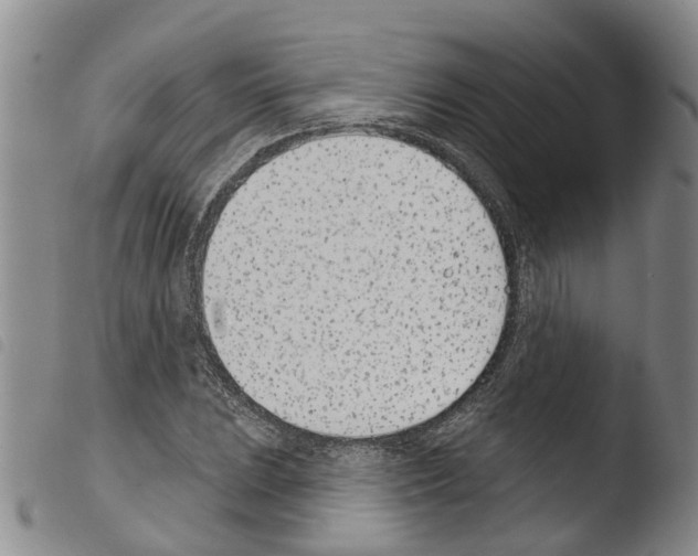 X0000103461023200810240944