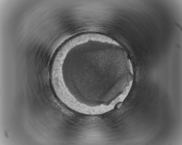 X0000103461024200810240944