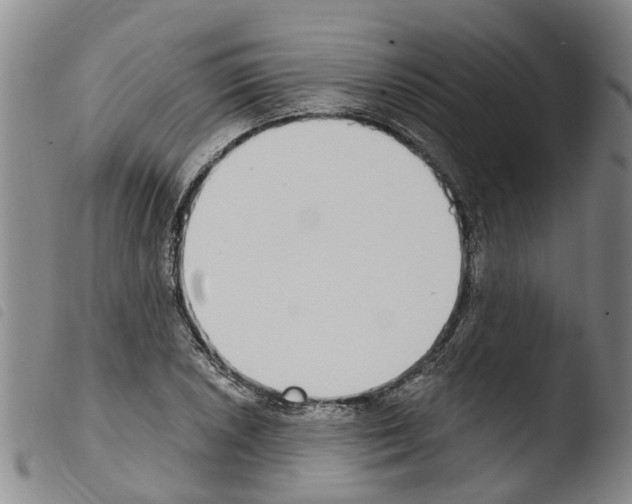 X0000103461026200810240944