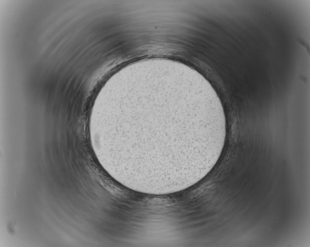 X0000103461027200810240944
