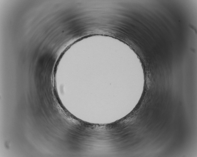 X0000103461028200810240944