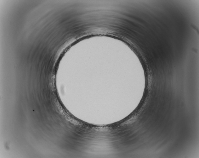 X0000103461029200810240944
