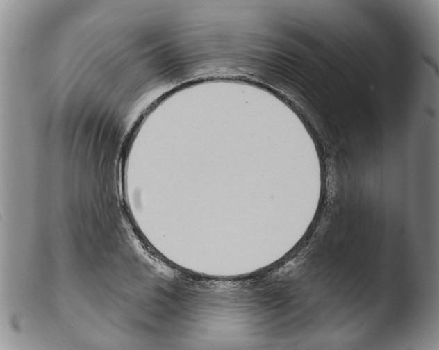 X0000103461030200810240944